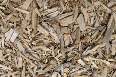 biomass boilers Llanbeder